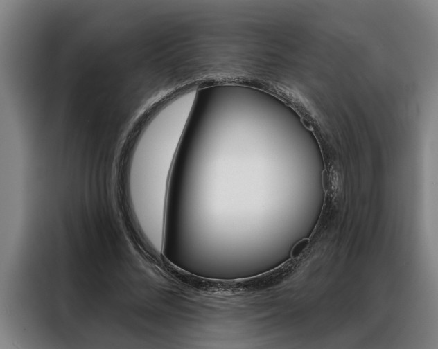 X0000088390684200705220801