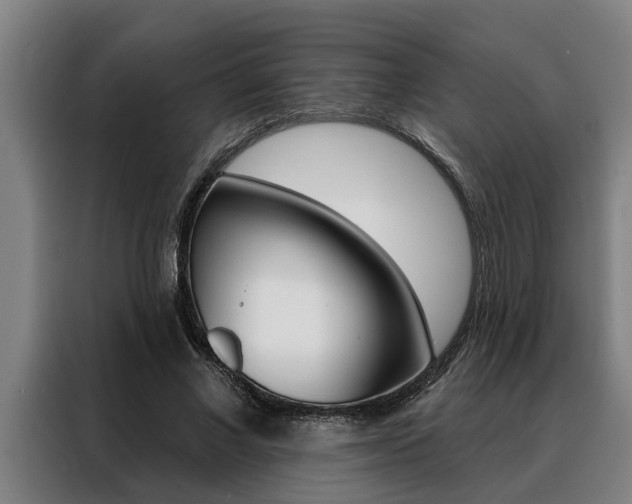 X0000088390685200705220801