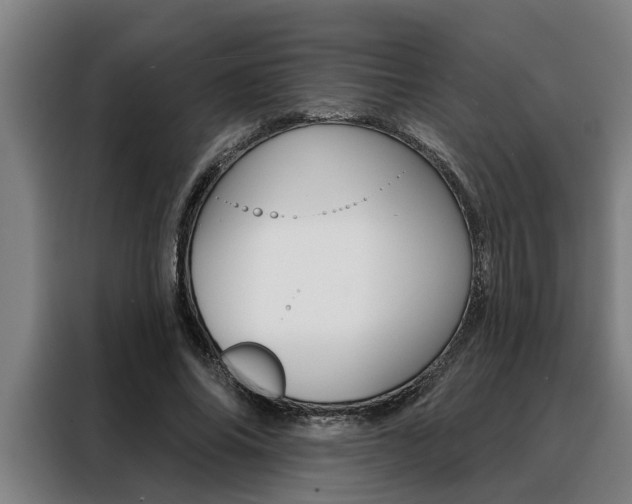 X0000088390686200705220801
