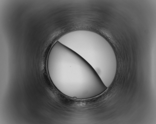 X0000088390687200705220801