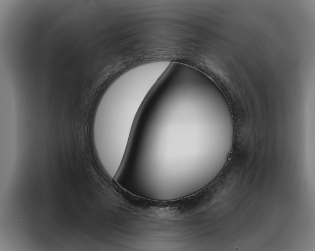 X0000088390689200705220801