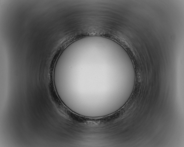 X0000088390690200705220801