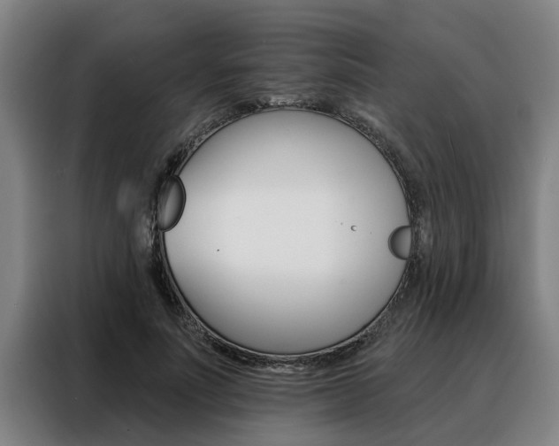 X0000088390691200705220801