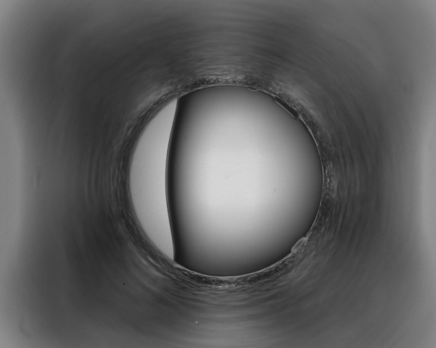 X0000088390692200705220801