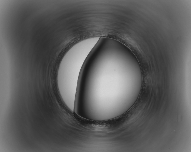X0000088390693200705220801