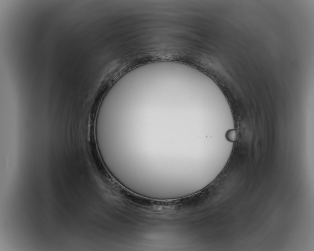 X0000088390694200705220801