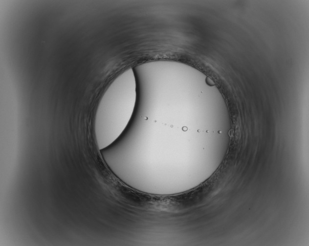 X0000088390695200705220801