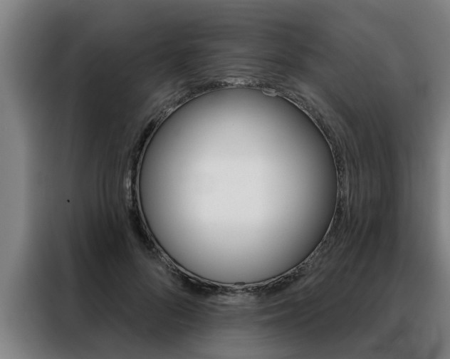 X0000088390696200705220801