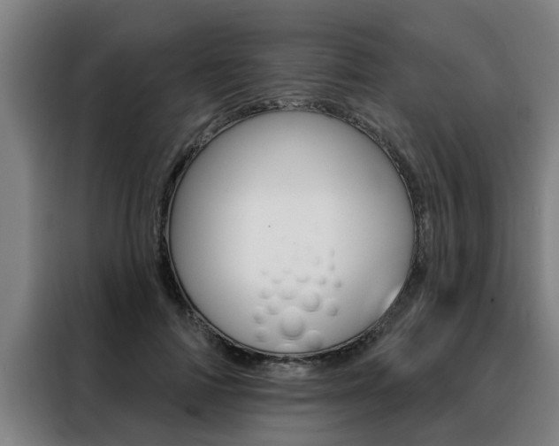 X0000088390698200705220801
