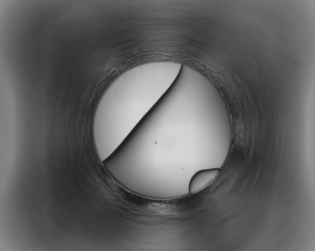 X0000088390699200705220801