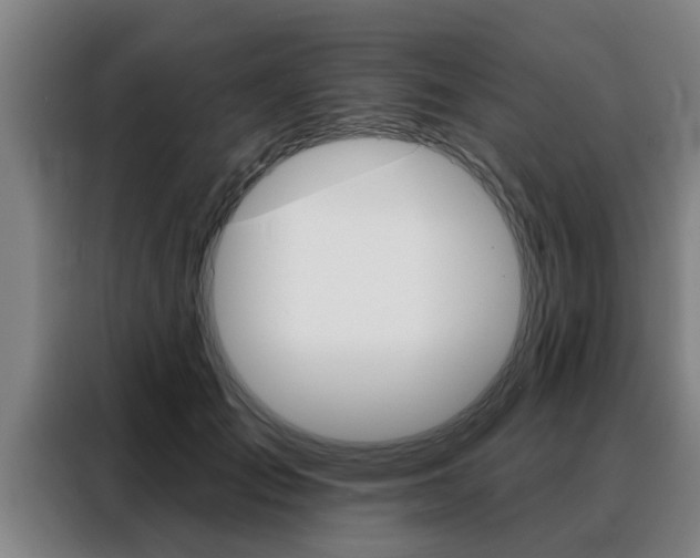 X0000088390701200705220801