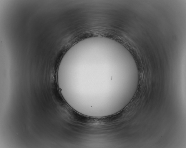 X0000088390702200705220801
