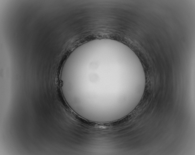 X0000088390706200705220801