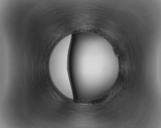 X0000088390708200705220801