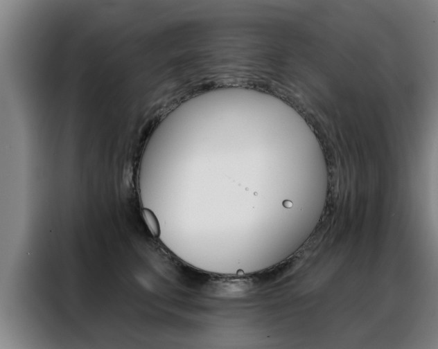 X0000088390711200705220801