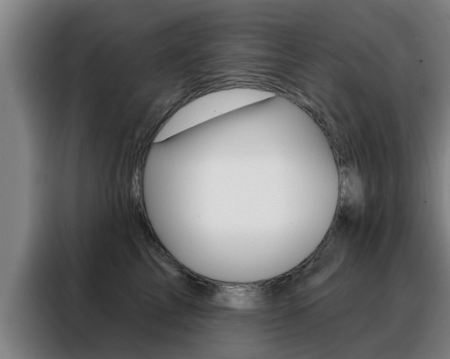 X0000088390713200705220801