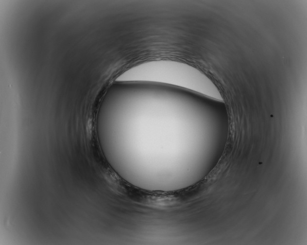 X0000088390716200705220801