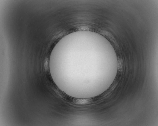 X0000088390717200705220801