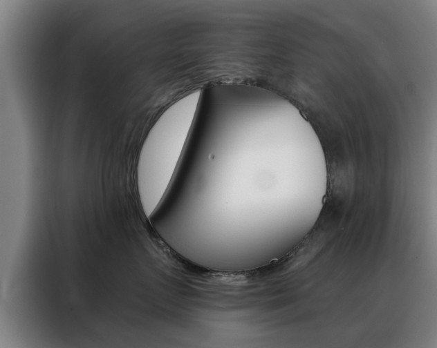 X0000088390719200705220801