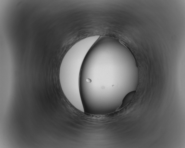 X0000088390720200705220801