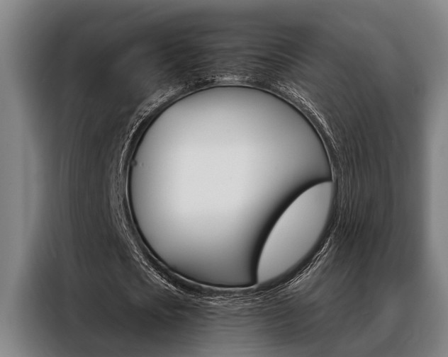 X0000088390721200705220800