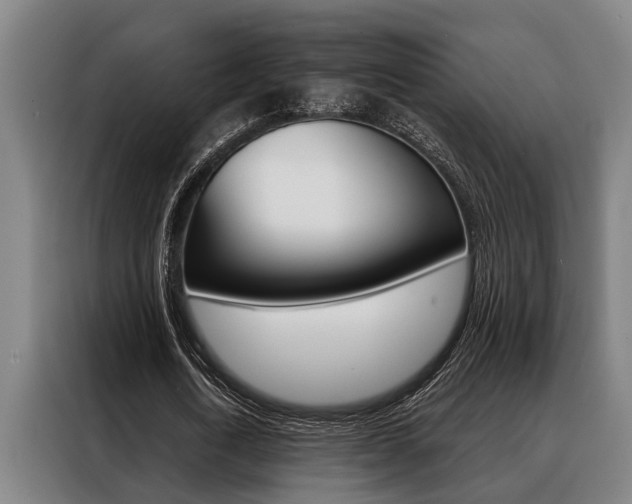 X0000088390722200705220800