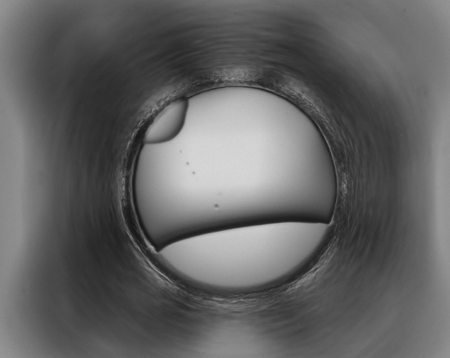 X0000088390725200705220800