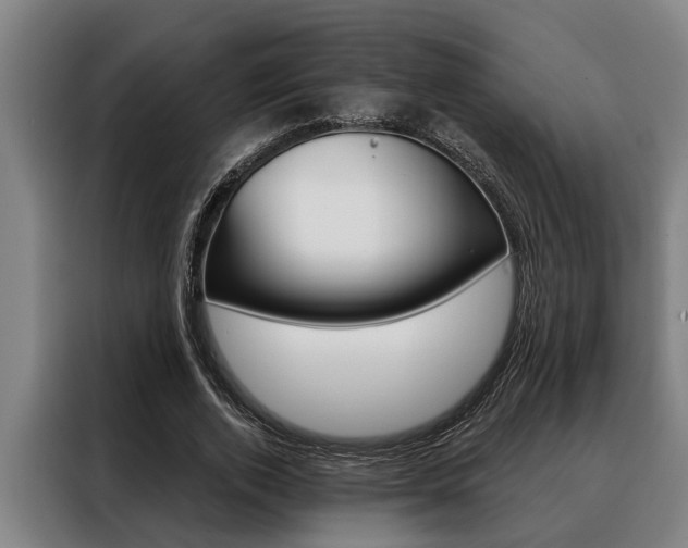 X0000088390728200705220800