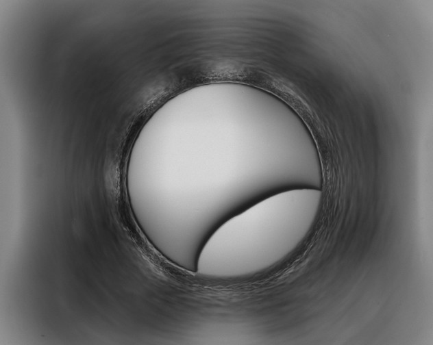 X0000088390729200705220800