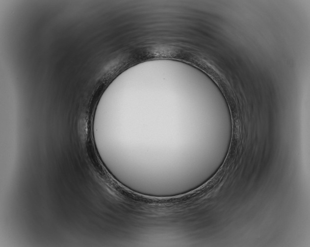 X0000088390733200705220800