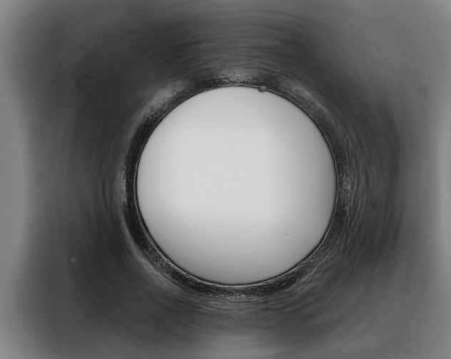 X0000088390734200705220800