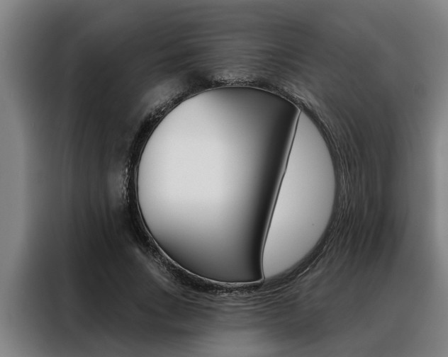 X0000088390735200705220800