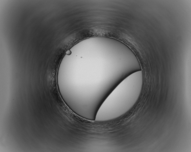 X0000088390737200705220800
