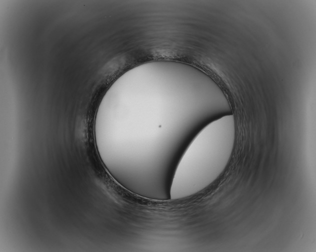 X0000088390738200705220800