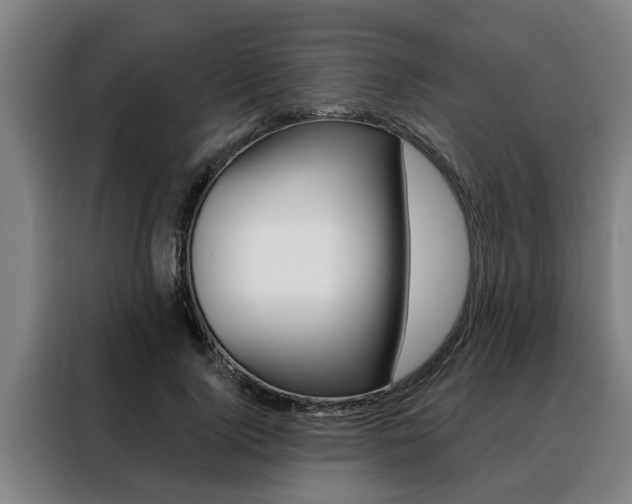 X0000088390740200705220800