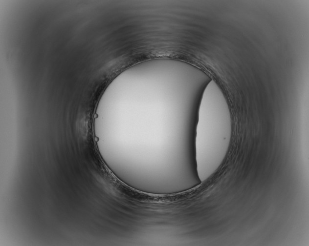 X0000088390741200705220800