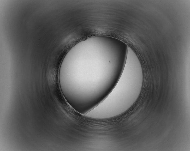 X0000088390744200705220800