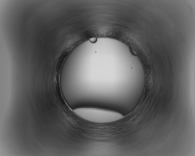 X0000088390746200705220800