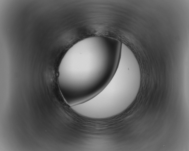 X0000088390748200705220801