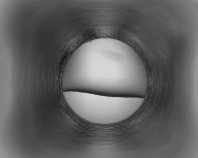 X0000088390749200705220801