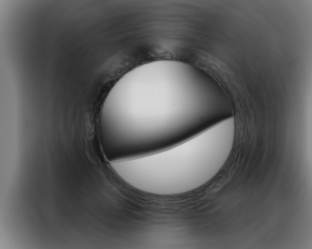 X0000088390751200705220801