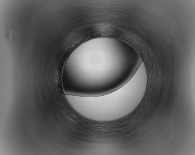 X0000088390752200705220801