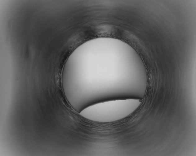 X0000088390753200705220801