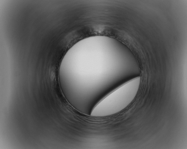 X0000088390754200705220801