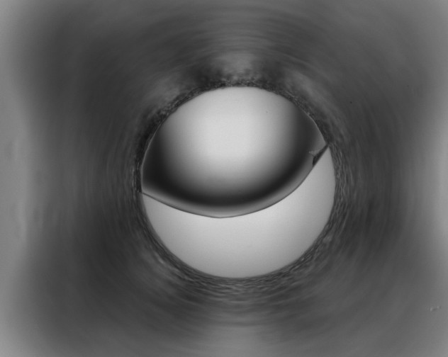 X0000088390756200705220801