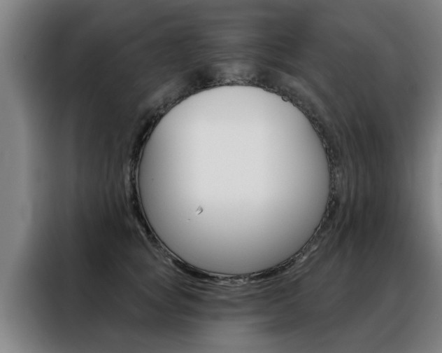 X0000088390757200705220801