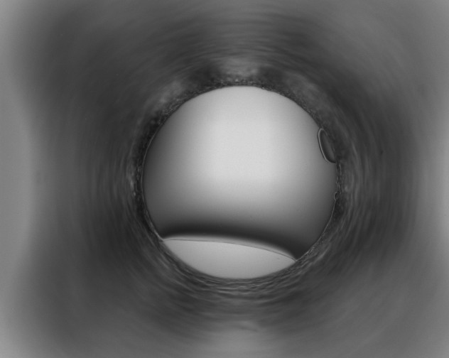 X0000088390758200705220801