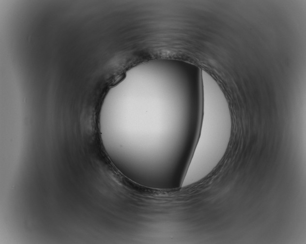 X0000088390760200705220801