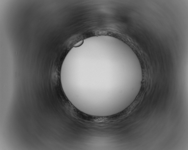 X0000088390761200705220801