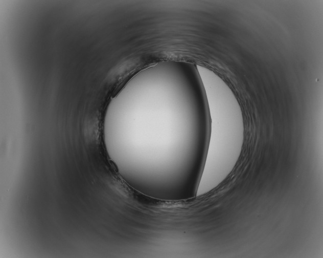 X0000088390762200705220801